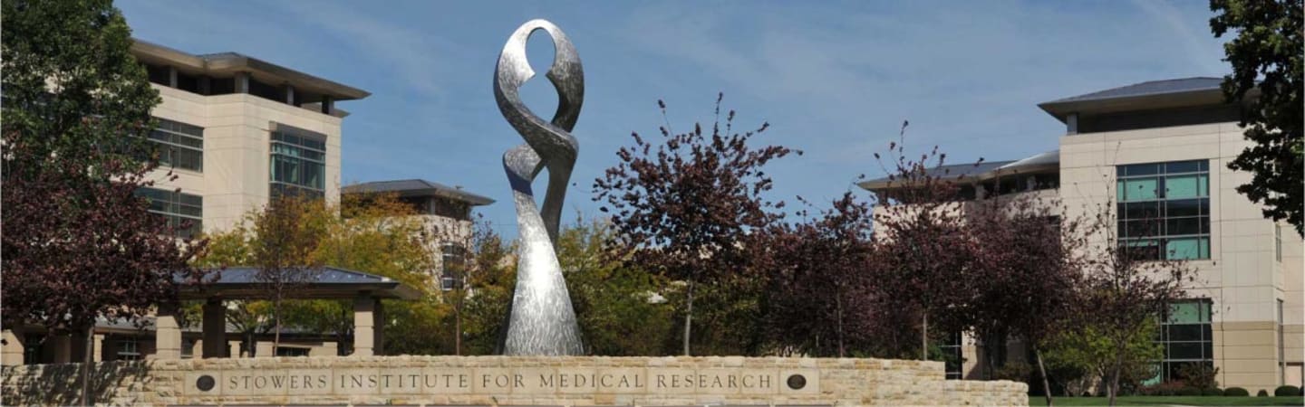 A metal statue in front of the buildings of the Stowers Institute for Medical Research campus on a sunny day.