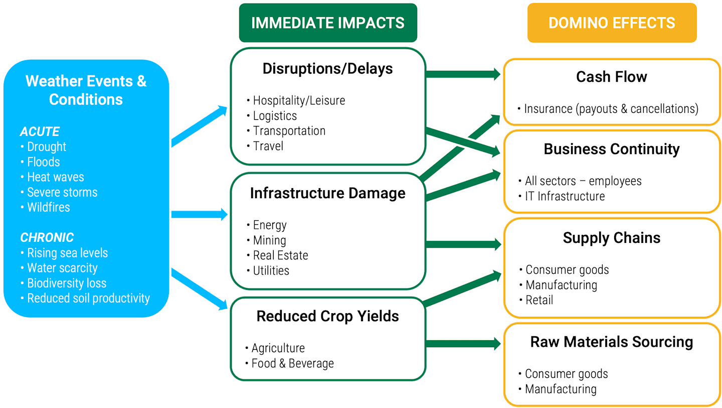 Chart showing the impact extreme weather events can have on companies.