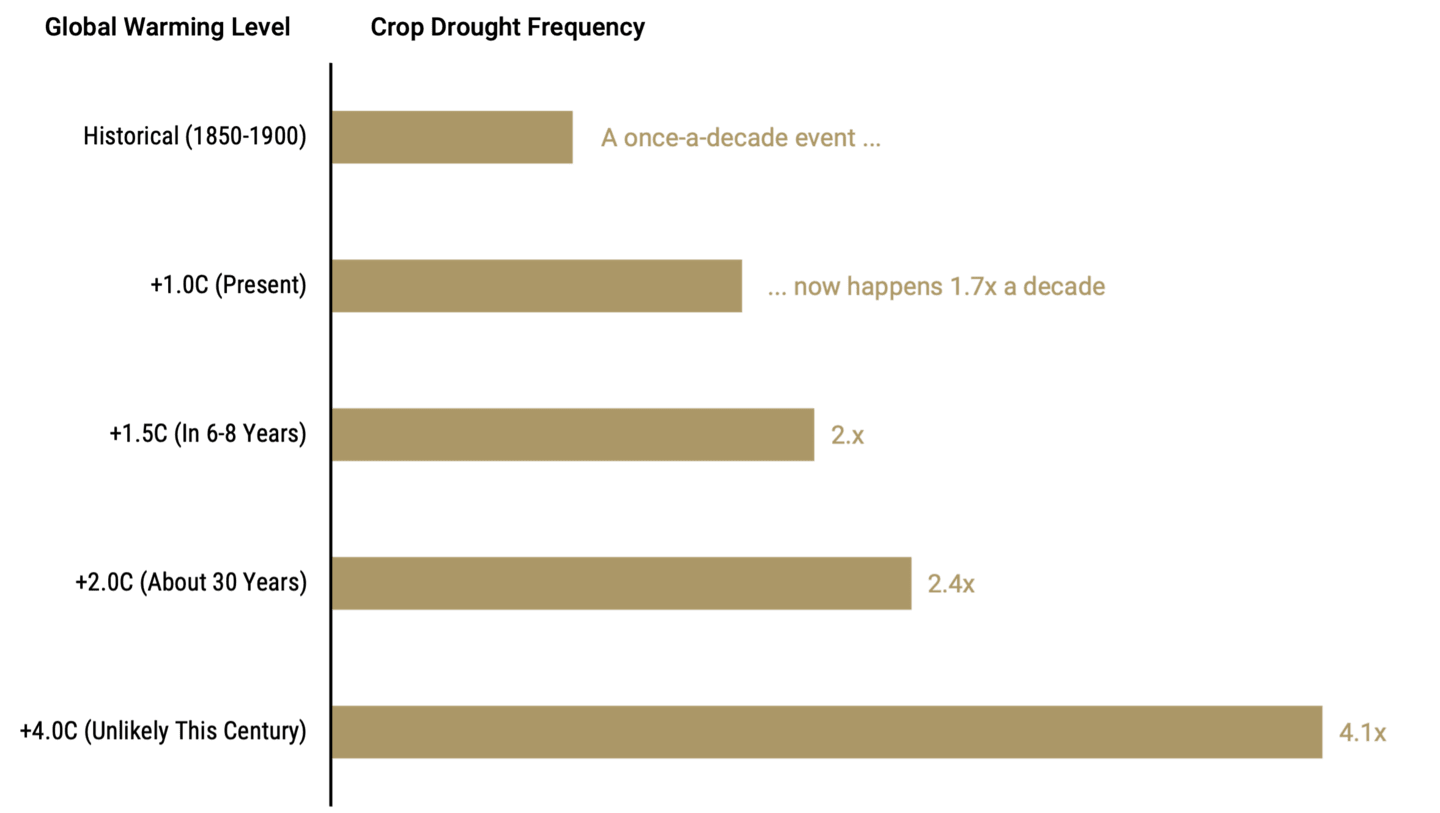 Bar chart showing crop drought frequency. The frequency has increased significantly and the future looks even worse.