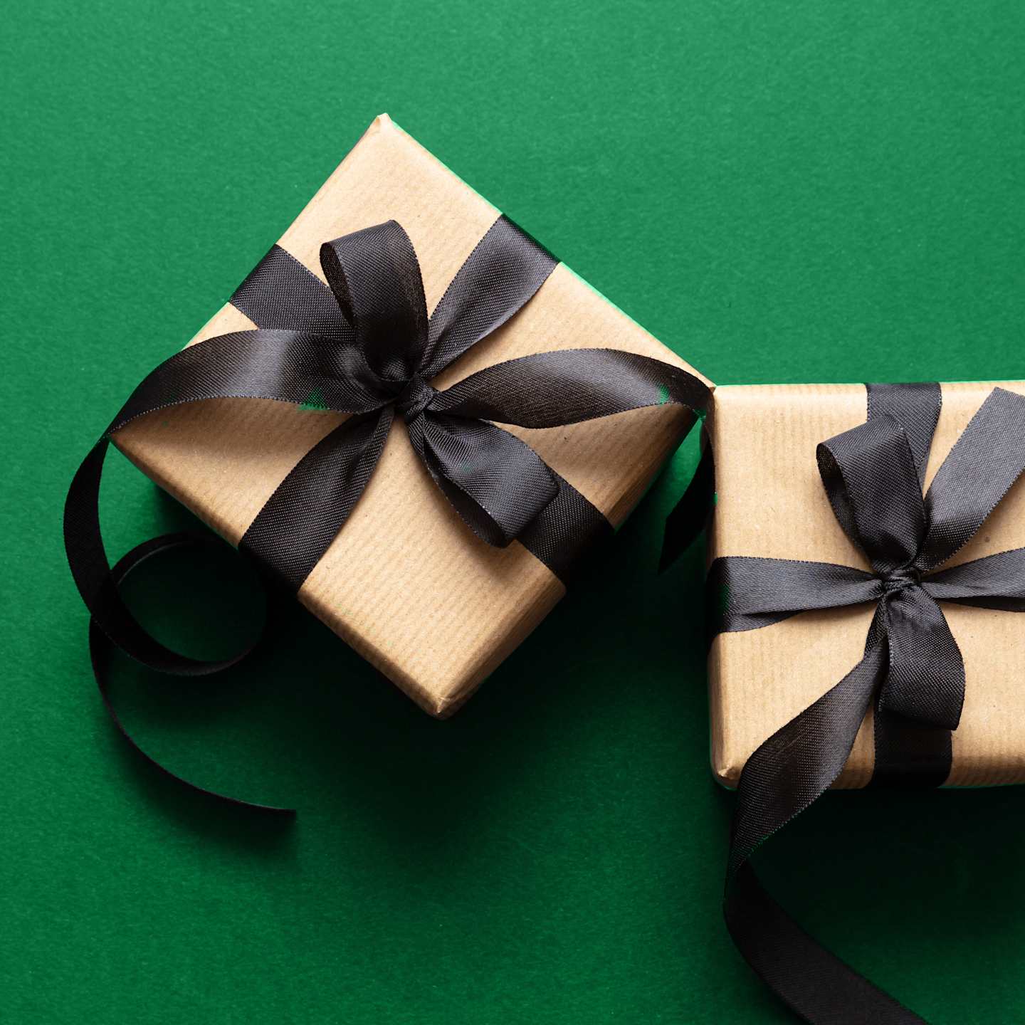 Tan present with black ribbon on green backdrop.