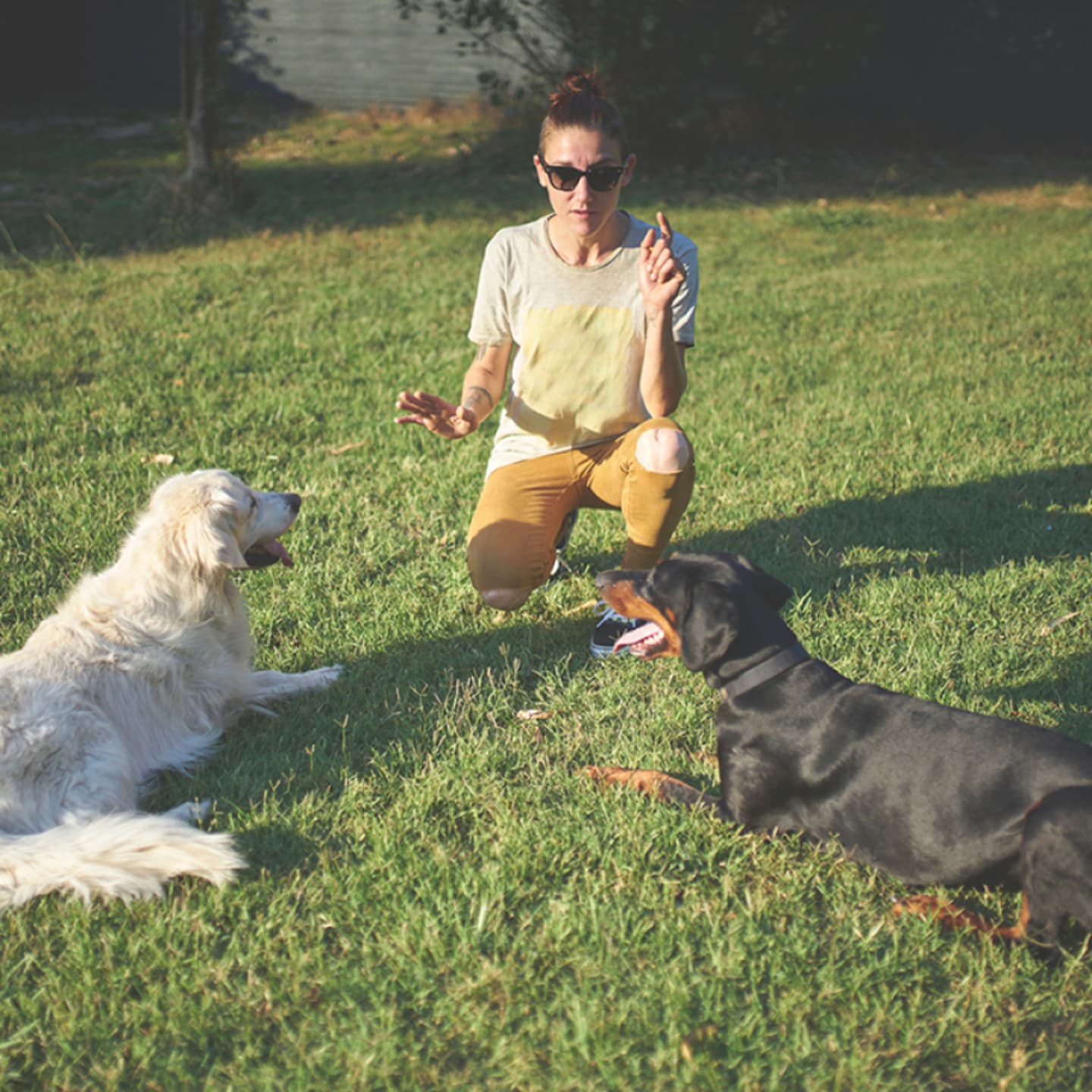 Woman outdoors with two dogs.