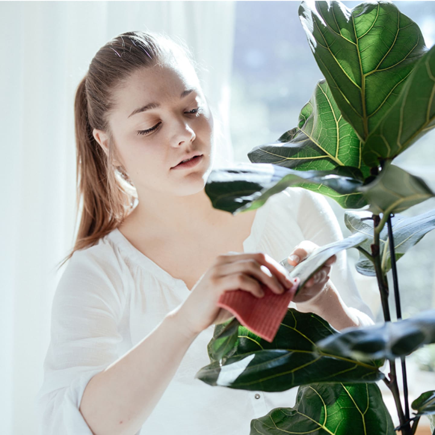 Woman tending to a house plant.