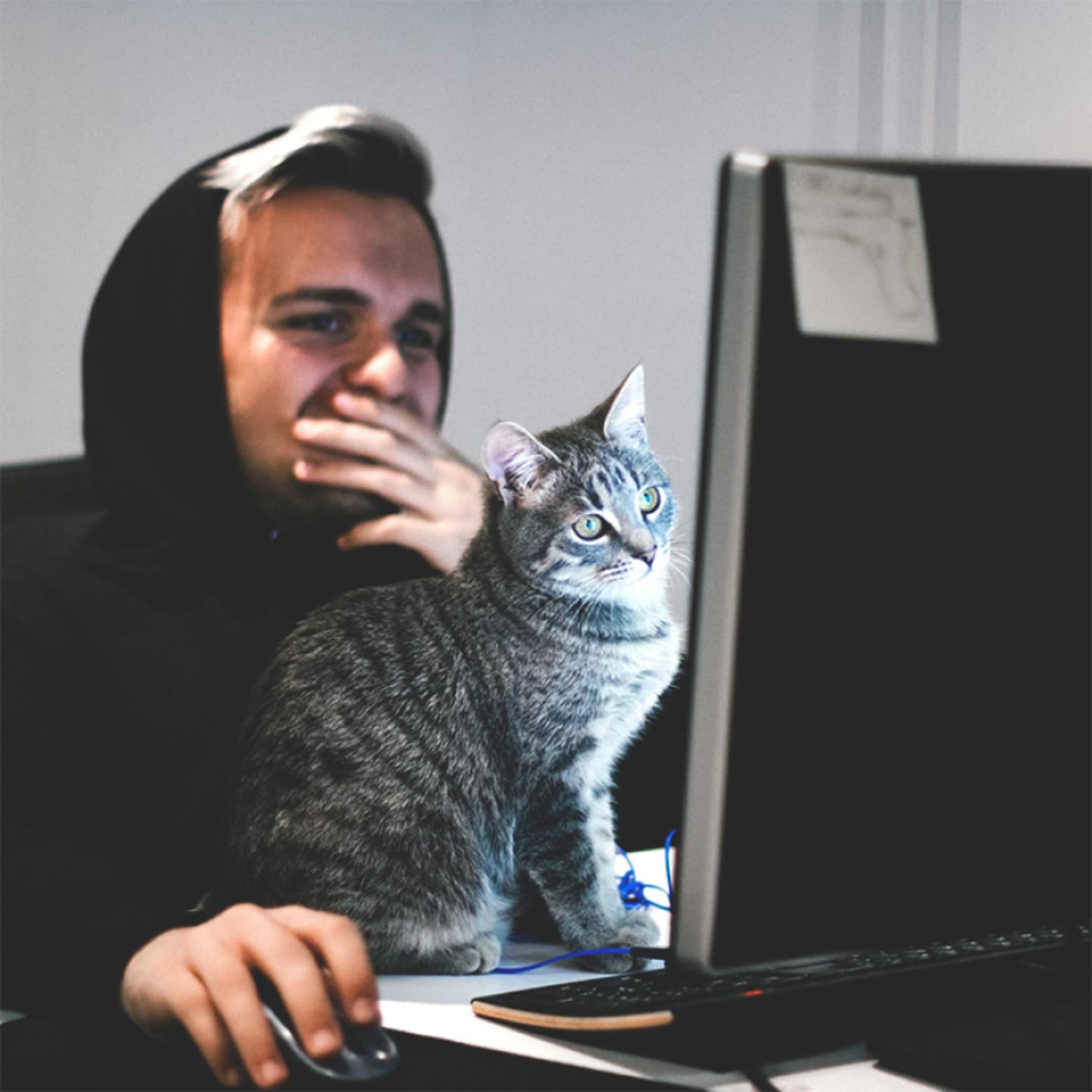 Man at computer with cat on lap.