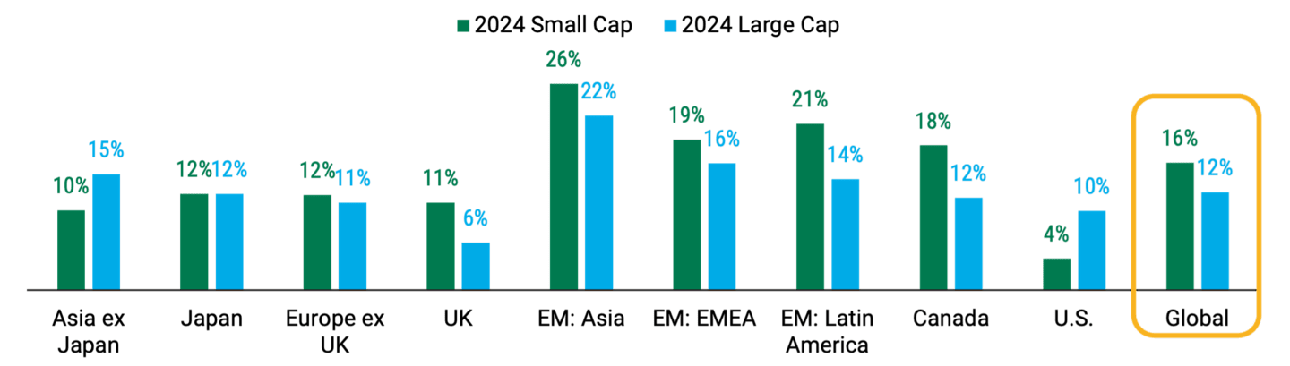 Chart comparing 2024 and 2025 EPS growth forecasts for global small-cap stocks versus large-cap stocks across various regions.