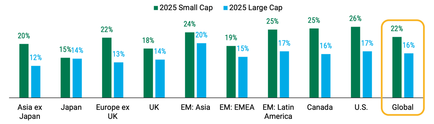 Chart comparing 2024 and 2025 EPS growth forecasts for global small-cap stocks versus large-cap stocks across various regions.