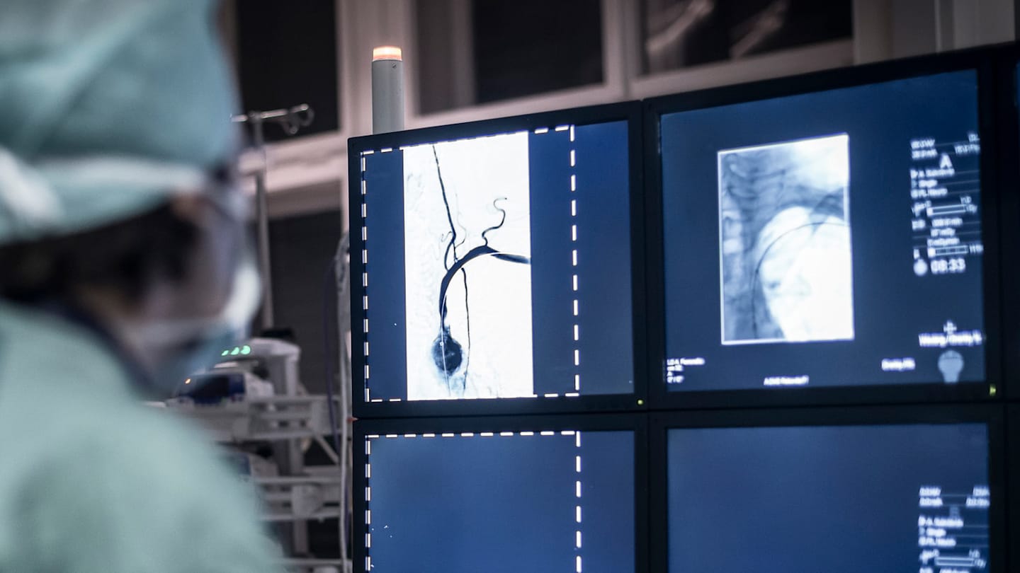 Scientist looking at computer images.