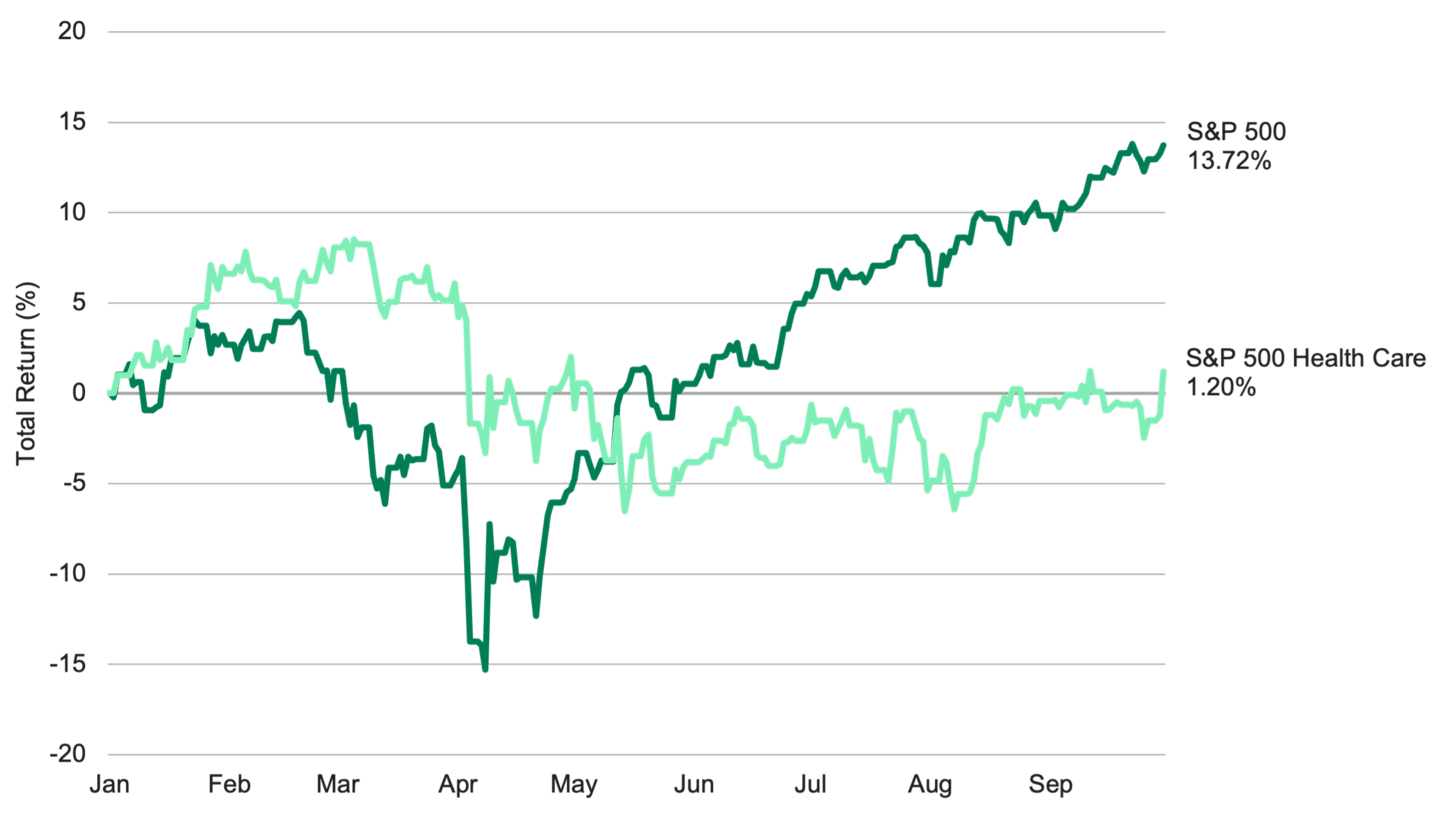A line chart comparing the year to date return of the S&P 500 Index vs. The S&P 500 Health Care Index. While the S&P 500 Index took off from a low in April, health care stocks have languished.
