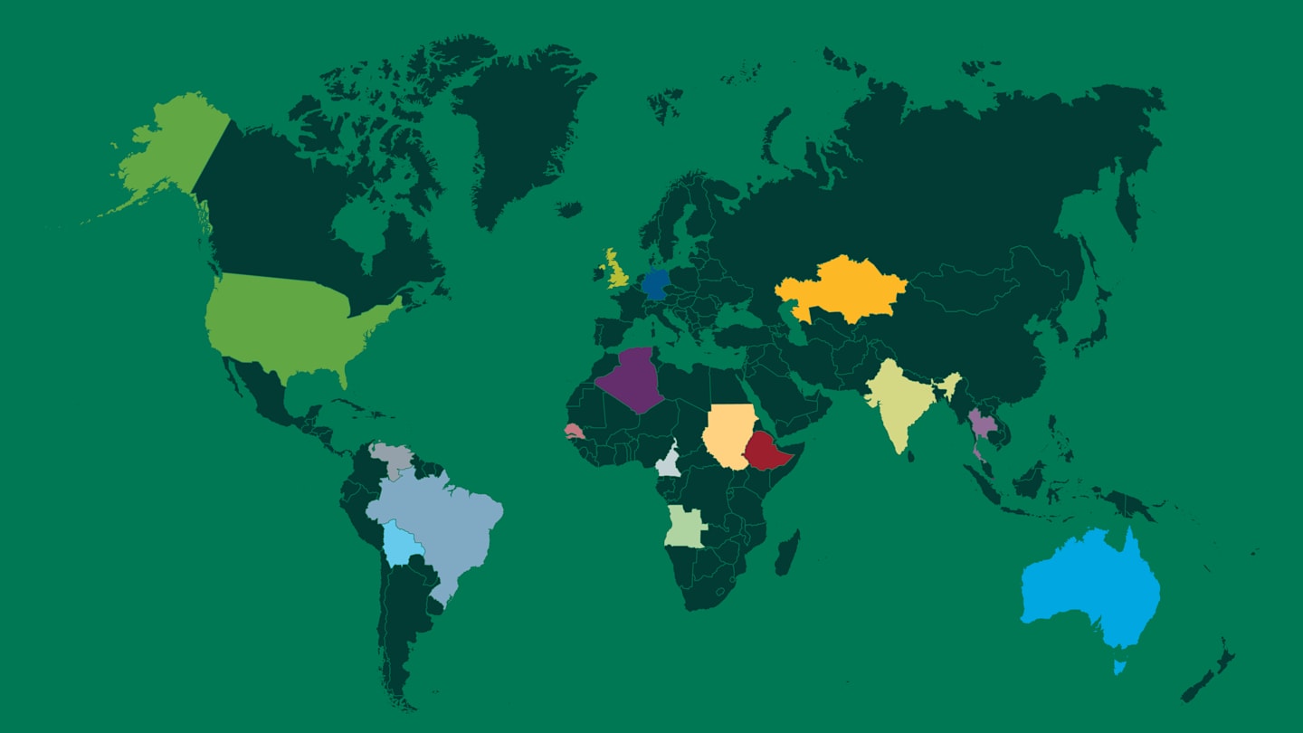 Illustration of world map with various countries colored in. 