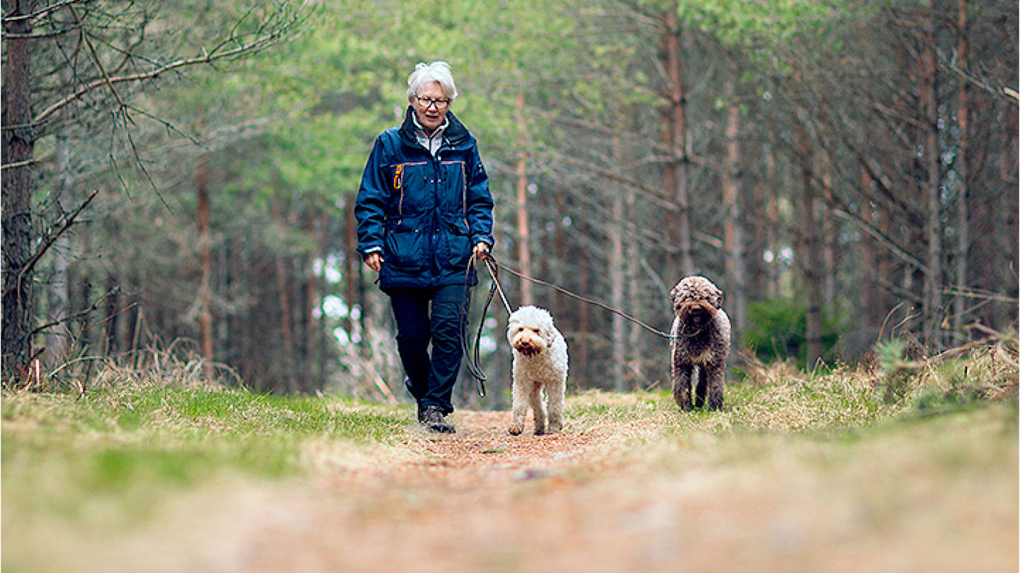 Older woman taking walk through forest with dogs.