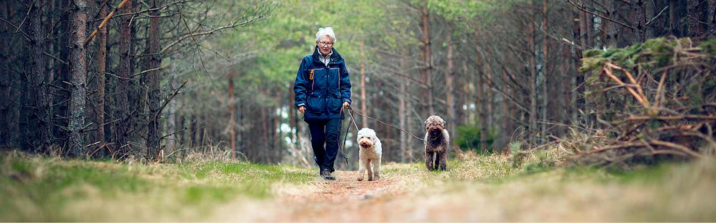 Older woman taking walk through forest with dogs.