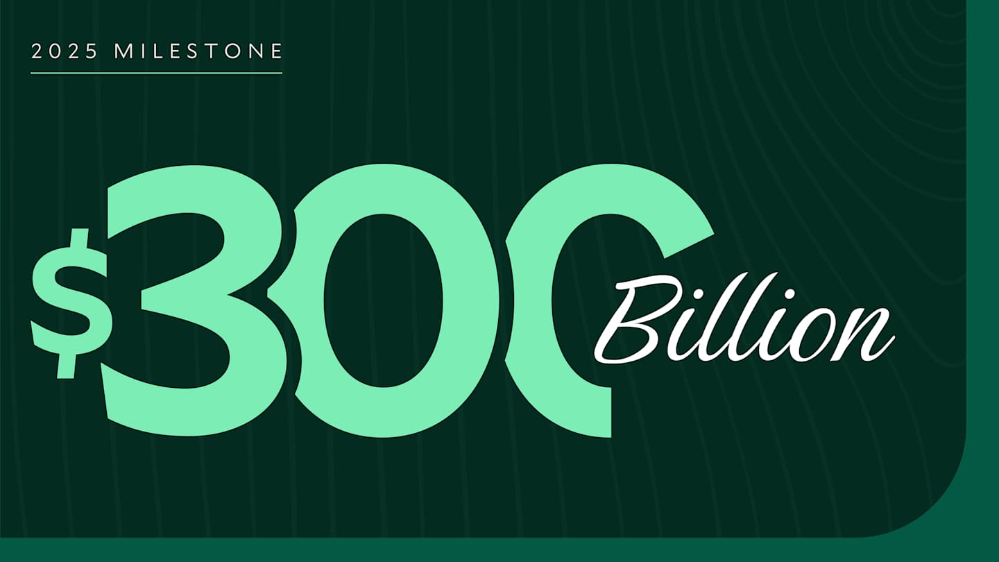 2025 Milestone $300 Billion