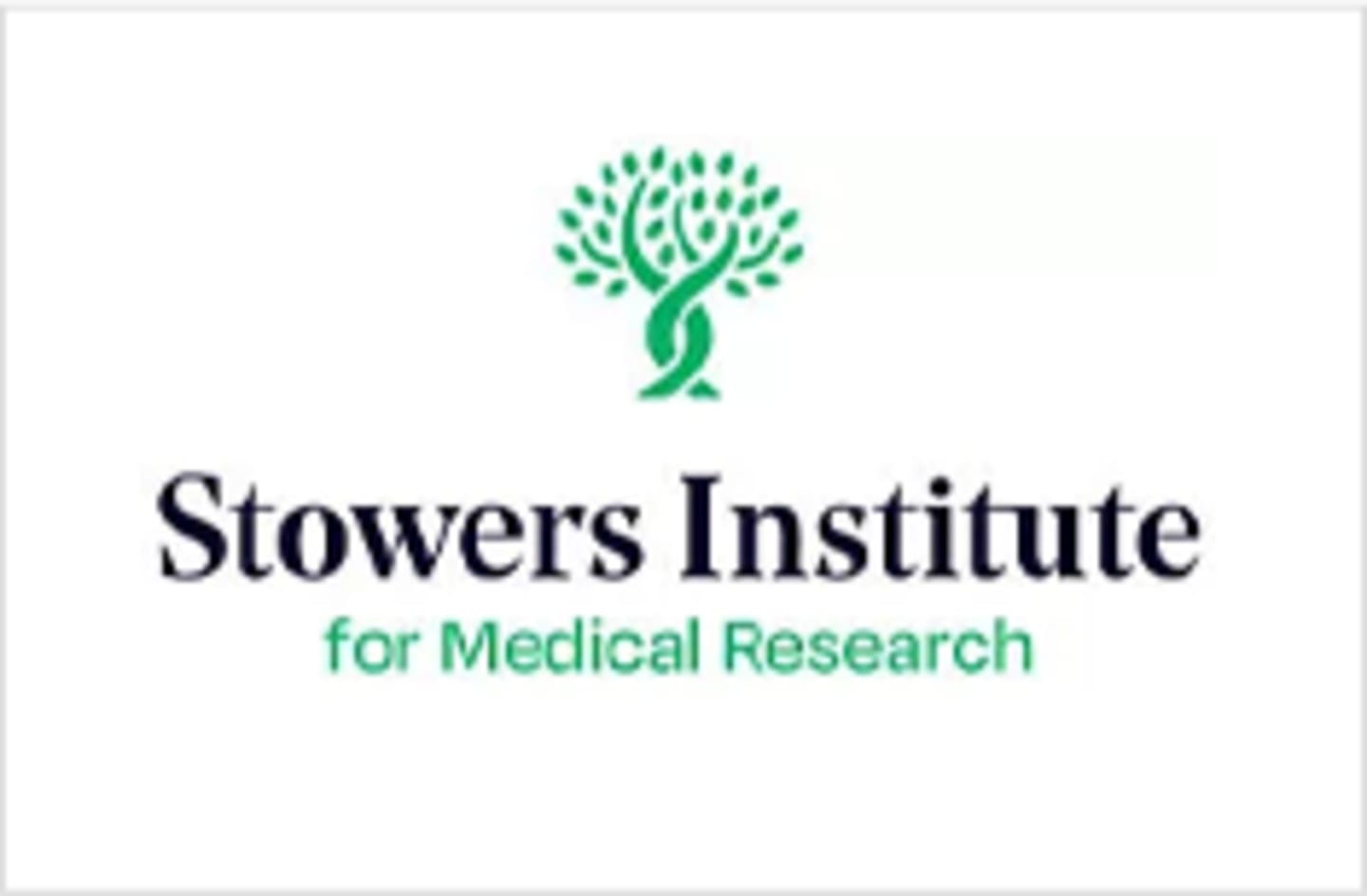 Stowers Institute for Medical Research Logo.