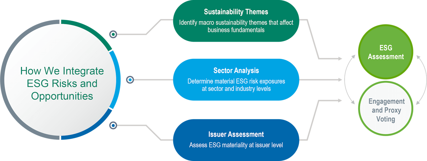 We Integrate ESG Risks and Opportunities with Sustainability Themes, Sector Analysis and Issuer Assessment. 