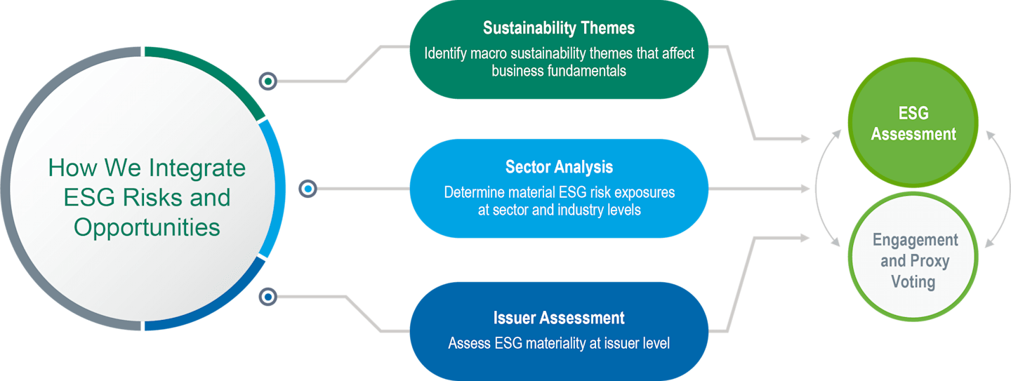 We Integrate ESG Risks and Opportunities with Sustainability Themes, Sector Analysis and Issuer Assessment.