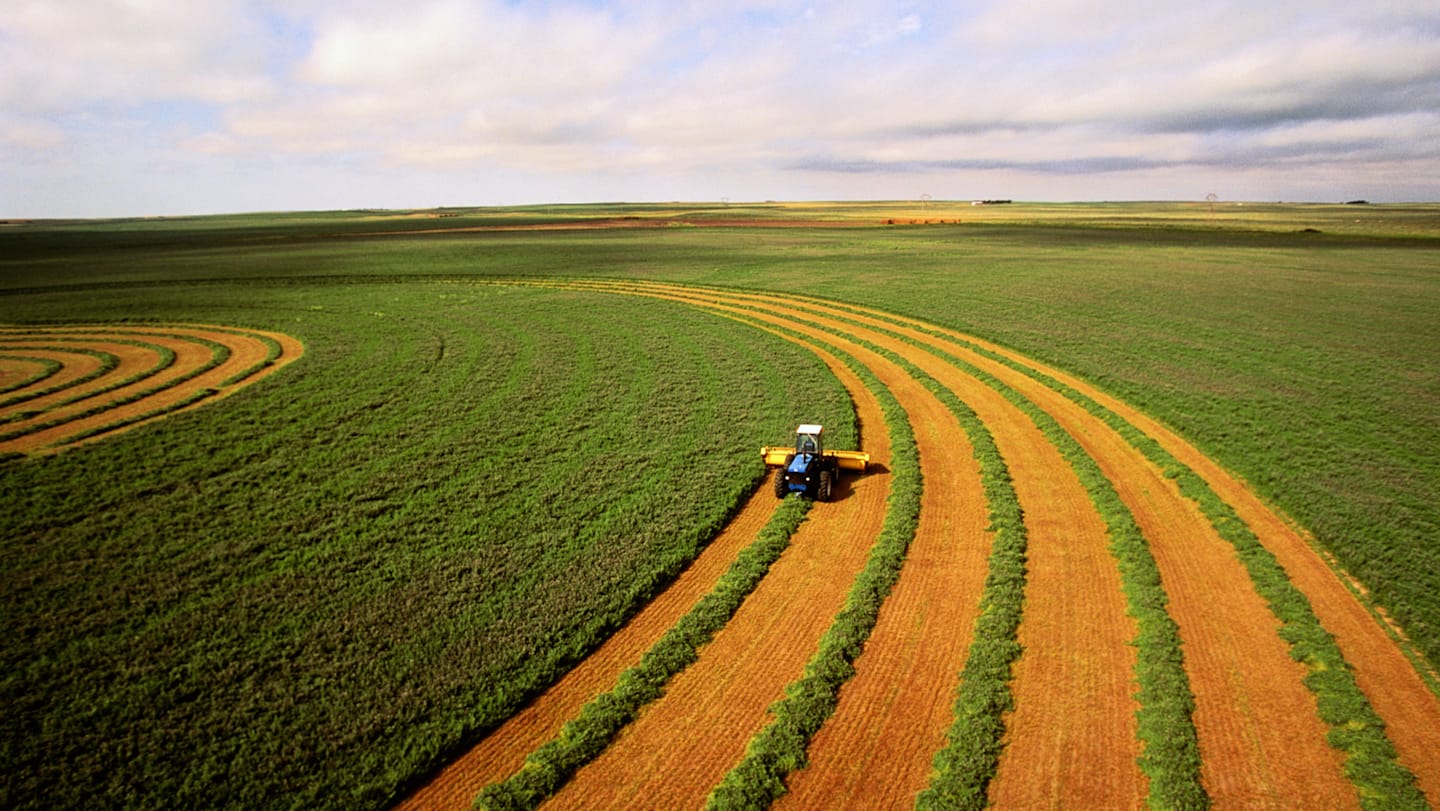 Farmer working plot of agricultural land.