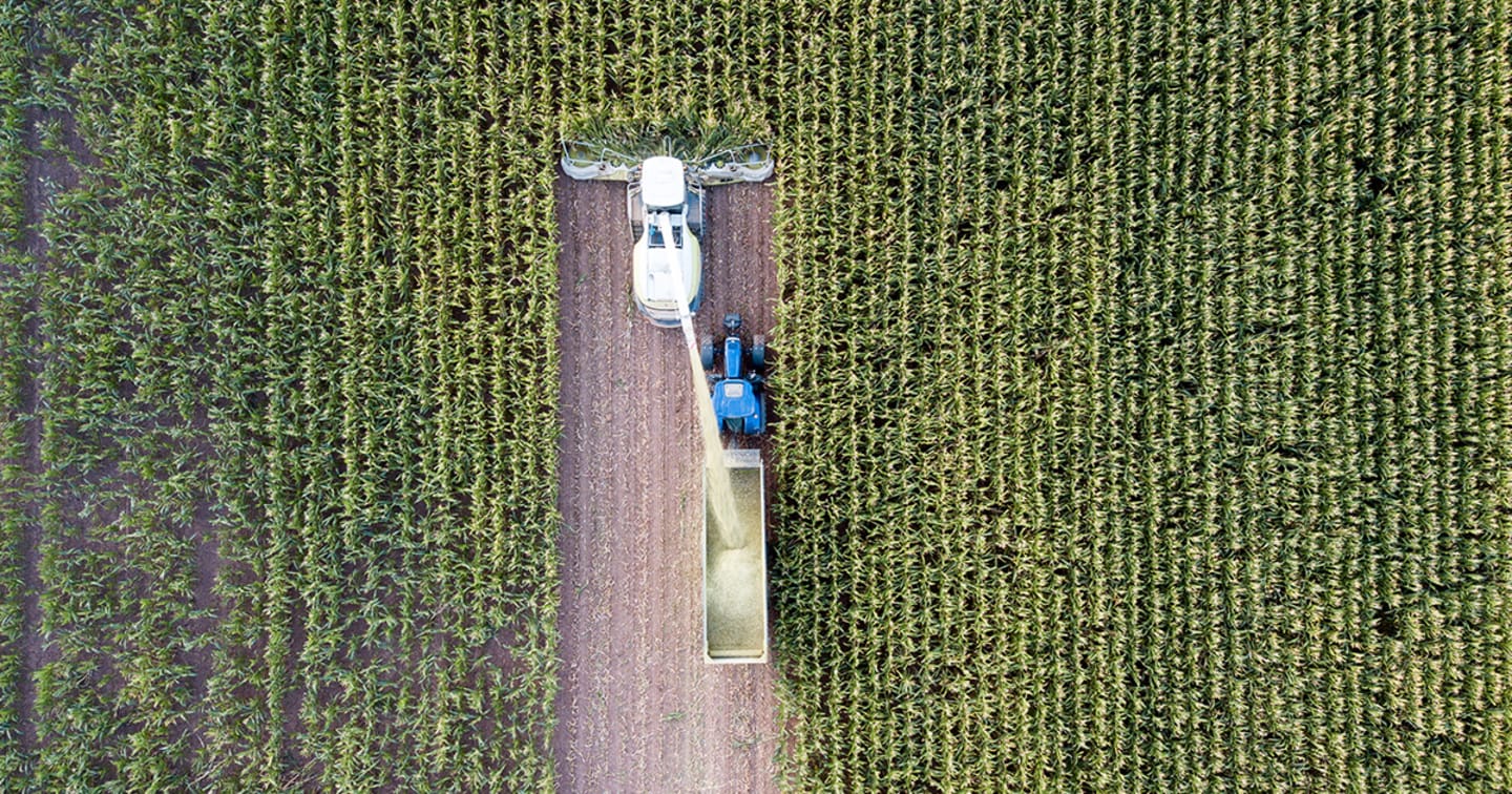 Tractor harvesting in field.