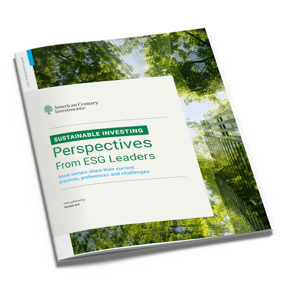 Cover of Global Perspectives on Sustainable Investing report.