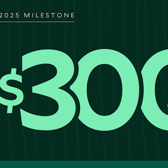 2025 Milestone $300 Billion