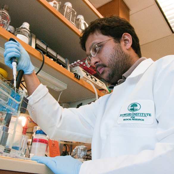 Stowers Institute for Medical Research scientist creating samples in lab.