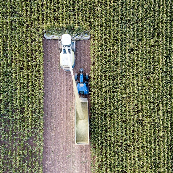 Tractor harvesting in field.
