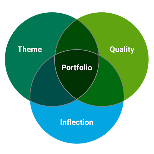 Venn diagram with Portfolio in the center. Theme, Quality and Inflection overlap the center.