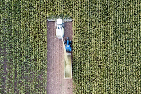 Tractor harvesting in field.